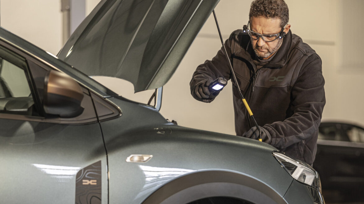 boka service dacia brandt bil